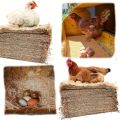 10Pcs/1Pc Nesting Liner Nest Box Chicken Mat, Nest Mat Box Liner, Chicken Coop Chicken Mat, Chick Mat Bird Nest Mat Rabbit Mat.