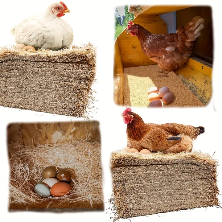 10Pcs/1Pc%20Nesting%20Liner%20Nest%20Box%20Chicken%20Mat,%20Nest%20Mat%20Box%20Liner,%20Chicken%20Coop%20Chicken%20Mat,%20Chick%20Mat%20Bird%20Nest%20Mat%20Rabbit%20Mat%20-%20Image%205