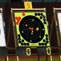 100-10PCS 8-inch Splatter Target High Visibility Adhesive Shooting Target Stickers Reactive Hunting Shooting Training Paper. 