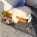 Cat toy Audible carrot tickling cat stick high and boring baby cat molar stick Bite resistant cat scratching board pet products. 