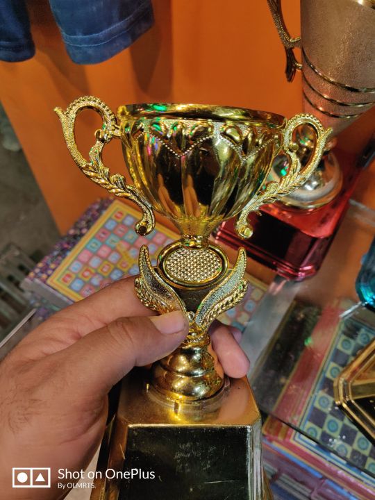 Gold%20Award%20Trophies%20for%20Kids%20-%20Plastic%20Gold%20Trophy%20Cup%20for%20Sports%20Tournament,%20Competition,%20Recognition,%20Prizes%20(pack%20of%203&1)%20-%20Image%205