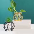 Plant Holder Vase Metal Terrarium Geometric Nordic Golden Glass Vase Iron Line Vase Hydroponic Plant Flower Home Decor Modern. 