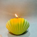 Seashell Scented Candles Aesthetic Trendy Candles Hand Poured Soy Wax Candle Handmade Shell Shape Candle Freesia Seashell Candle for Danish Pastel Room Decor. 