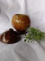 Coconut Shell Salt Container /Lunu poll katta/ Natural Eco-friendly Product for kitchen. 