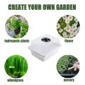 1-5PCS Planting Seed Cover Nursery Tray Box 12 Holes Plant Seedling Germination Planting Pot Mini Greenhouse Plant Starter Tray. 