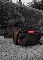 Weli's s5484 black beautiful nylon material waterproof adjustable strap travel sports chest pack rider bag. 