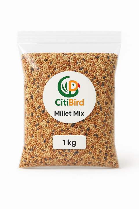 CitiBird%20Premium%205-Color%20Millet%20Mix%20%E2%80%93%201kg%20%7C%20Dust-Free%20Balanced%20Bird%20Seed%20-%20Image%203