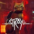 STRAY - ADVENTURE GAME FOR PC.. 