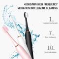Adult Sonic Electric Toothbrush IPX7 Waterproof with DuPont Brush Head USB Rechargeable High-Frequency Cleaning 6 Modes.