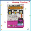 Growing Flamingo 🦩 1 PCS. 