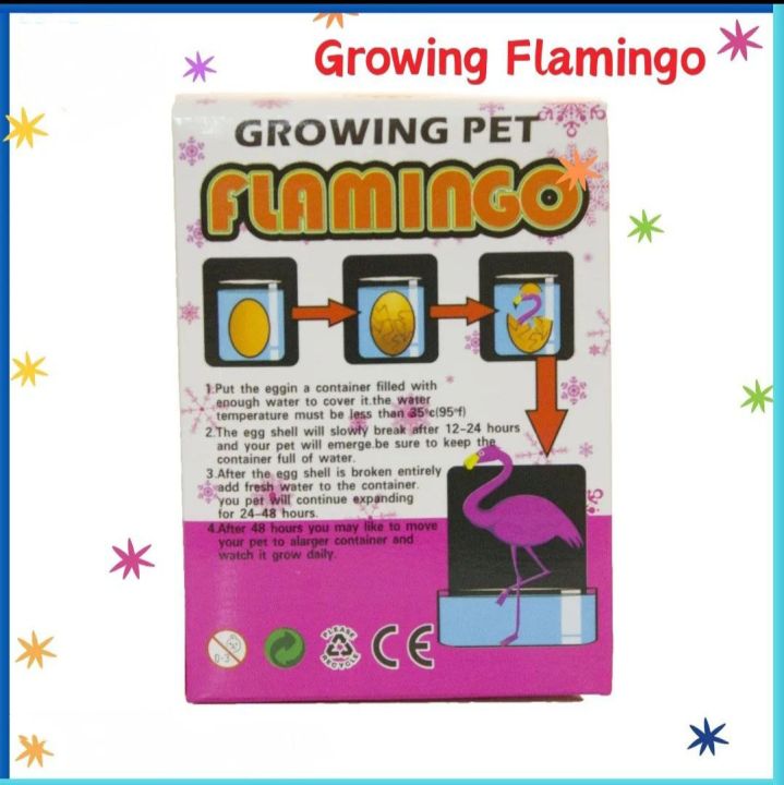 Growing%20Flamingo%20%F0%9F%A6%A9%201%20PCS%20-%20Image%202