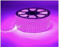 Flexible Led Strip Light 220V Pink With Adopter and All Sizes Available. 