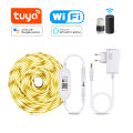 Tuya WIFI LED Strip Light DC 12V Wireless App Control 2835 Night Lights Backlighting Smart Home Life Work With Alexa  Home. 