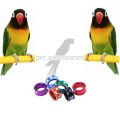 2 pcs lovebird close band foot ring 4.7mm pet bird accessories. 