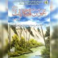 Imaan afroz Islami waqiat ki kitab UOUNN-UL-HIKAYAAT Islamic Book of Dawat-e-Islami Maktaba tul Madina. 