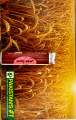 Seedfos 56% Aluminum Phosphide 10 Tablets Ici Gandom Goli  Gandum Goli Wheat tablets. 