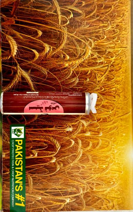 Seedfos 56% Aluminum Phosphide 10 Tablets Ici Gandom Goli  Gandum Goli Wheat tablets
