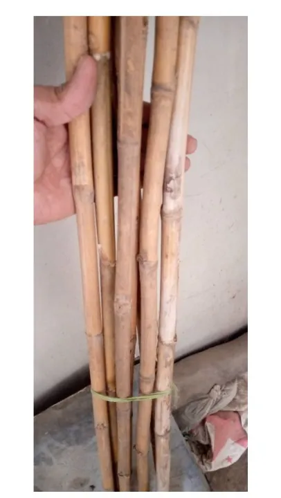 Bamboo%20sticks%205pieces%20-%20Image%206