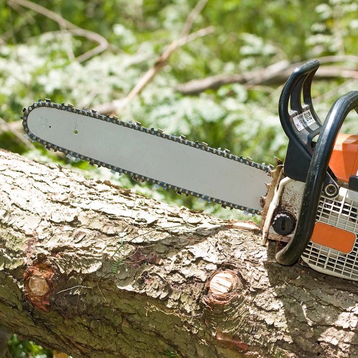 12%20Inch%20Metal%20Saw%20Chain%20Spare%20Parts%2045%20Drive%20Links%20Electric%20Chainsaw%20Chain%203/8inch%20Pitch%20Chainsaw%20Blades%20Electric%20Saw%20Accessory%20-%20Image%206