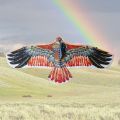 1.1m Eagle Kite  Large Eagle Flying Bird Kites Children Gift Family Trips Garden Outdoor Sports DIY Toy. 