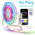 Smart Colorful COB LED Stirp with Tuya Controller 12V RGBIC APP Control DIY Segmented Control Color Game Room Night Ambinet Lamp. 