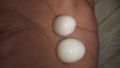 Real opal stone. 