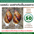 Snail Farming Moss, Dried Moss, Sphagnum Moss, 50 Baht Per Box.. 