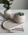 Artificial flower decorative vase combo live plantable with 2 different size tray our exclusive and luxurious edition Concrete made. 