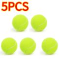 5/10PCS High Elasticity Tennis Professional Tennis Training Game Ball Outdoor Dogs Bite and Chomp 63mm Tennis Ball. 