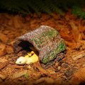Simulation Reptile Hideout Hollow Escape Cave Lizard Hideaway Shelter PVC Bark Texture Turtle Tank Ornaments Pet Breeding. 
