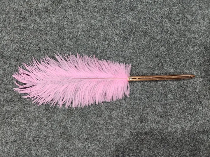 WEDDING%20SIGNATURE%20PEN%20METALLIC%20FEATHER%20PEN%20-%20Image%203