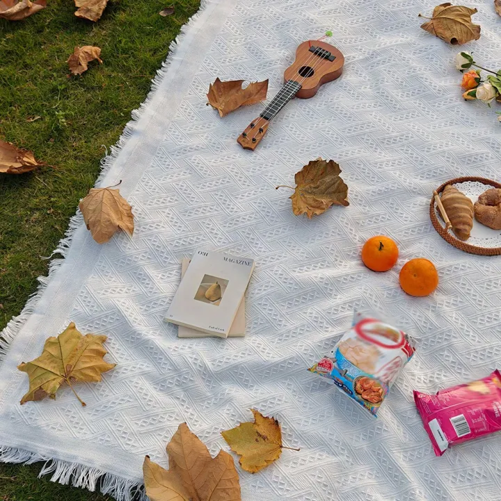 Bohemian%20Style%20Outdoor%20Picnic%20Mat%20with%20Tassel%20Camping%20Blanket%20T-Grid%20Tablecloth%20for%20Festival%20Parties%20Decor%20Spring%20Outdoor%20Picnic%20-%20Image%205