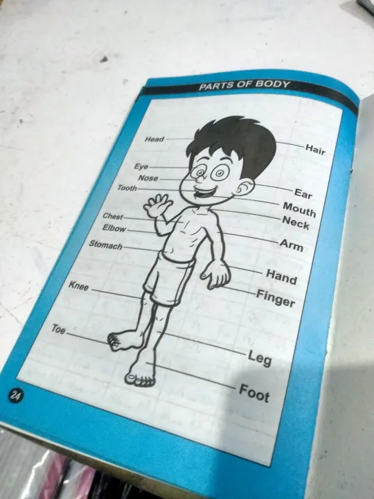 TABLE%20BOOK%20,%20PARTS%20OF%20BODY%20,%20URDU%20COUNTING,%20CHILD%20EARLY%20LEARNING%20-%20Image%202
