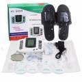 Electronic Pulse Therapy Massager (JR-309A). 