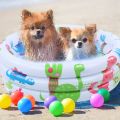 60cm/23.6in With Eco-friendly PVC Material Baby Pool Inflatable Little Pump Pool Wear-Resistant For Babies Kids Training. 