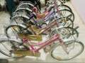 DSI Mountain and Ladies Bikes | Special offer 50% discount. 