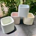 Pastel Color Pots for Cactus And Succulent Planters Set of 3 Lightweight Decorative Plant Pots with Drainage Hole in Modern Simple Style. 