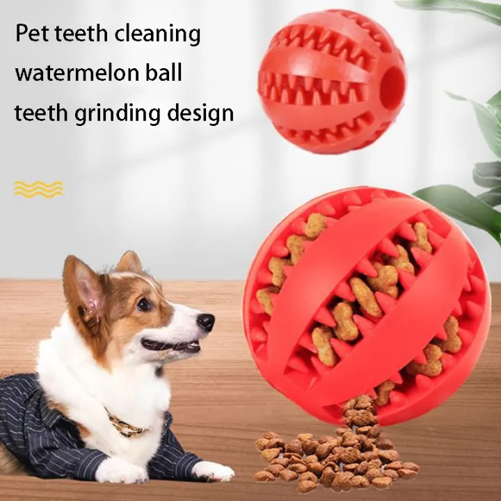 Natural%20%20Pet%20Dog%20Toys%20Dog%20Chew%20Toys%20Tooth%20Cleaning%20Treat%20Ball%20Extra-tough%20Interactive%20Elasticity%20Ball5cm%20for%20Pet%20Products%20-%20Image%203