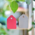 100 Pcs Hanging Colorful Garden Tags with String, Writable Marking Label, Waterproof PVC Plastic Tag for Plant, Flower, Tree, Bonsai,Orchid & Outdoor Gardening, Plants Name Tags Labels Marker Nursery From Green Messenger by Garden Close(3 Different Size).