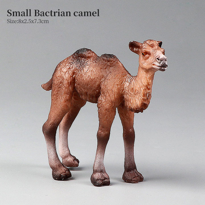 Mini Action Camel New Wildlife World Solid Simulation Camel Animal Model Set Educational ...
