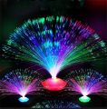 Fiber Optic Light. 