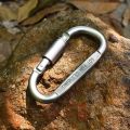 CARABINER CLIPS HOOKS HEAVY DUTY SPRING SNAP CLIP GYM CLIMBING SWING SCREW LOCK. 