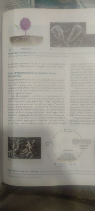 Prescott's%20Microbiology%20-%20Image%202