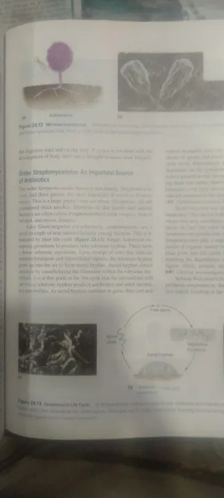 Prescott's%20Microbiology%20-%20Image%202