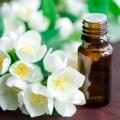 Jasmine Essential Oil ( 25 ml ) - the perfect scent for your Valentine.