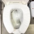 Portable Toilet Risers for Seniors, Non-Slip Waterproof Padded Seat Toilet Lift Assist for Elderly Disabled Pregnant Home Travel. 