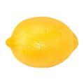 Lemon plant. 