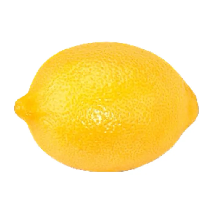 Lemon%20plant%20-%20Image%204