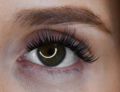 Eyelash Extension Flair Synthetic Mink Individual for Professional Eye Lash Extensions. 
