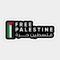 50 pc Palestinian stickers cut hq shiny glossy digital stickers Palestine flag peace support Palestine peace. 